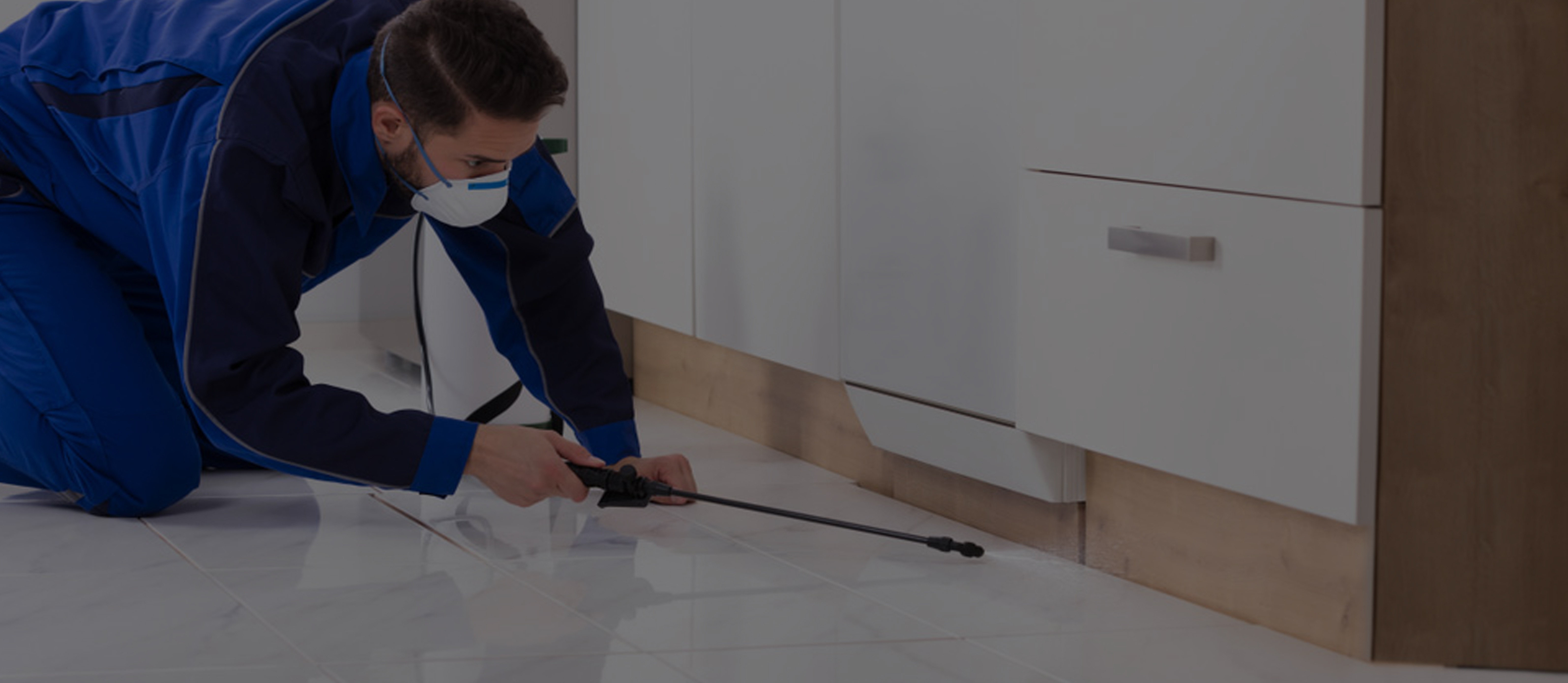 Commercial Pest Control Service in Hyderabad