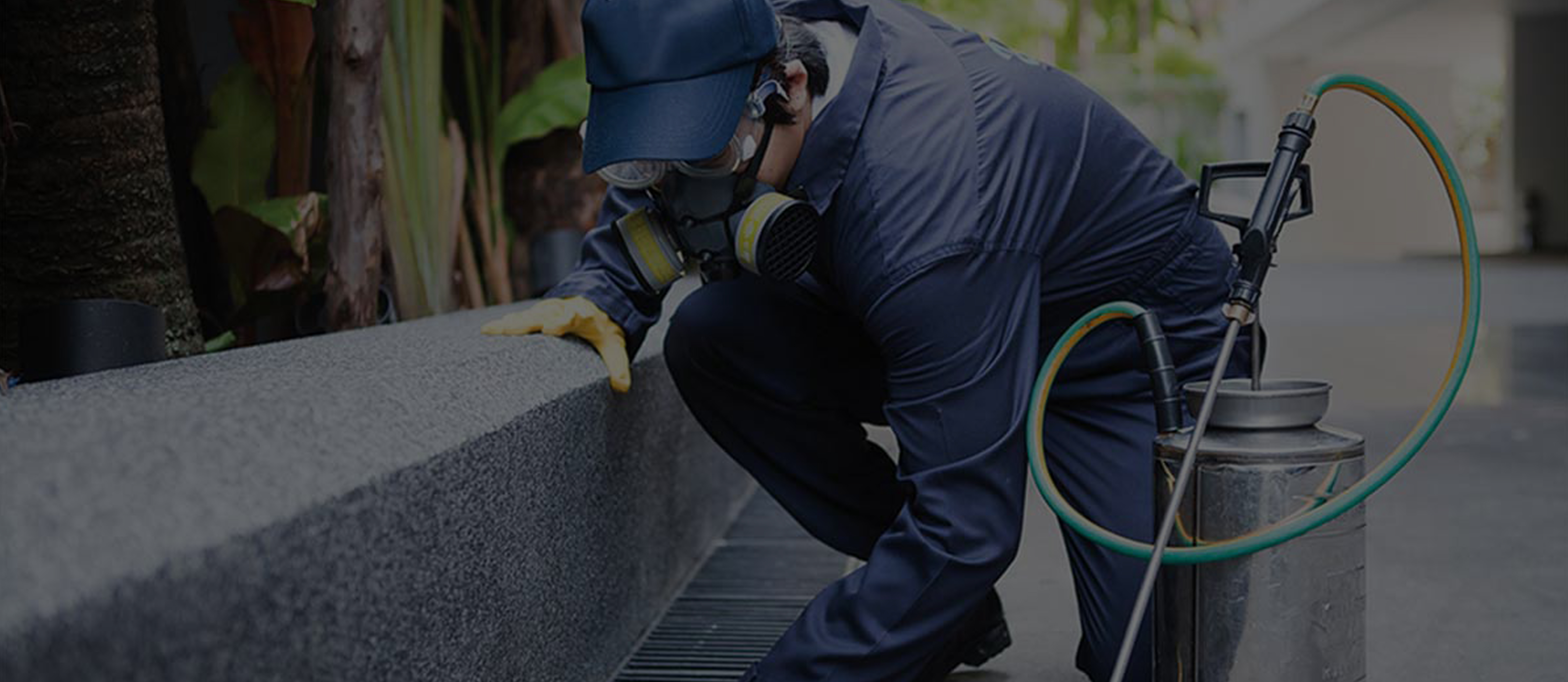 Commercial Pest Control Service in Hyderabad