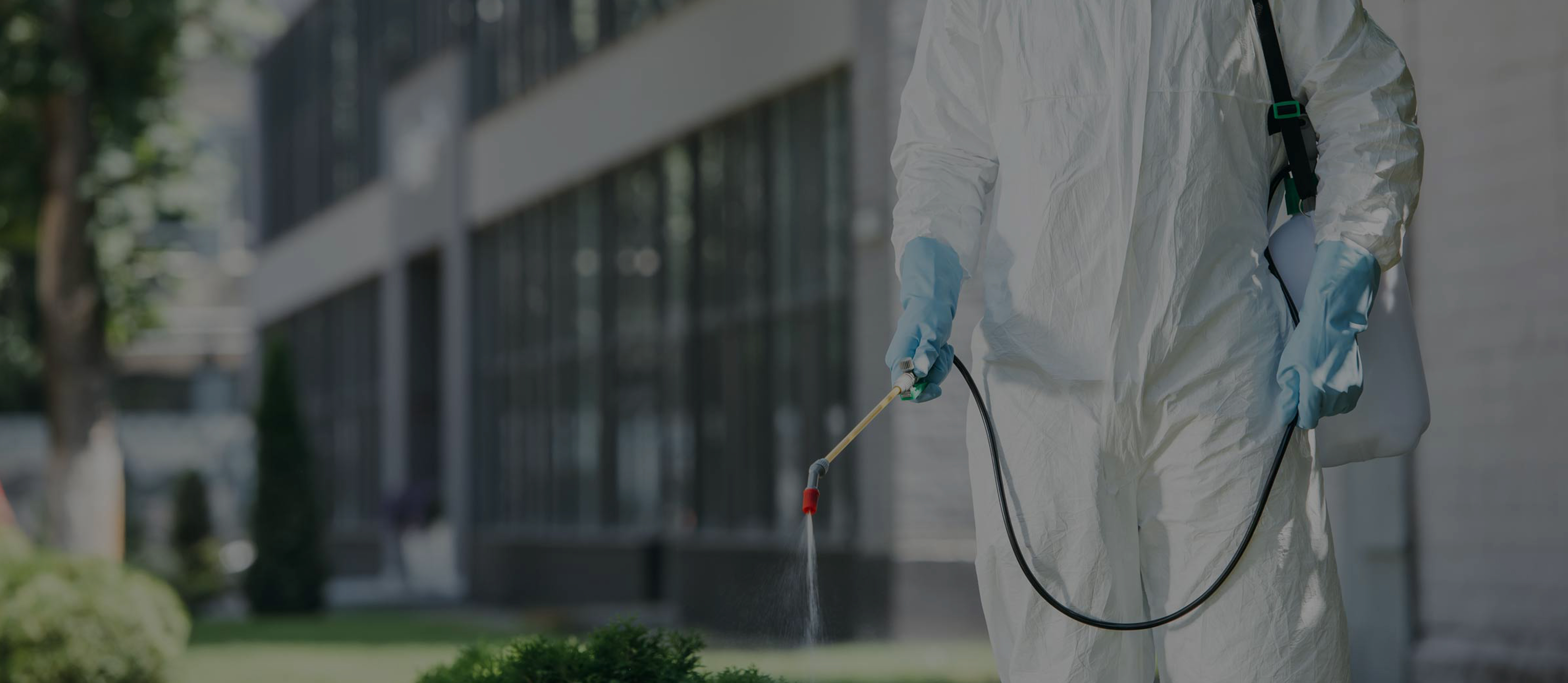 Commercial Pest Control in Hyderabad
